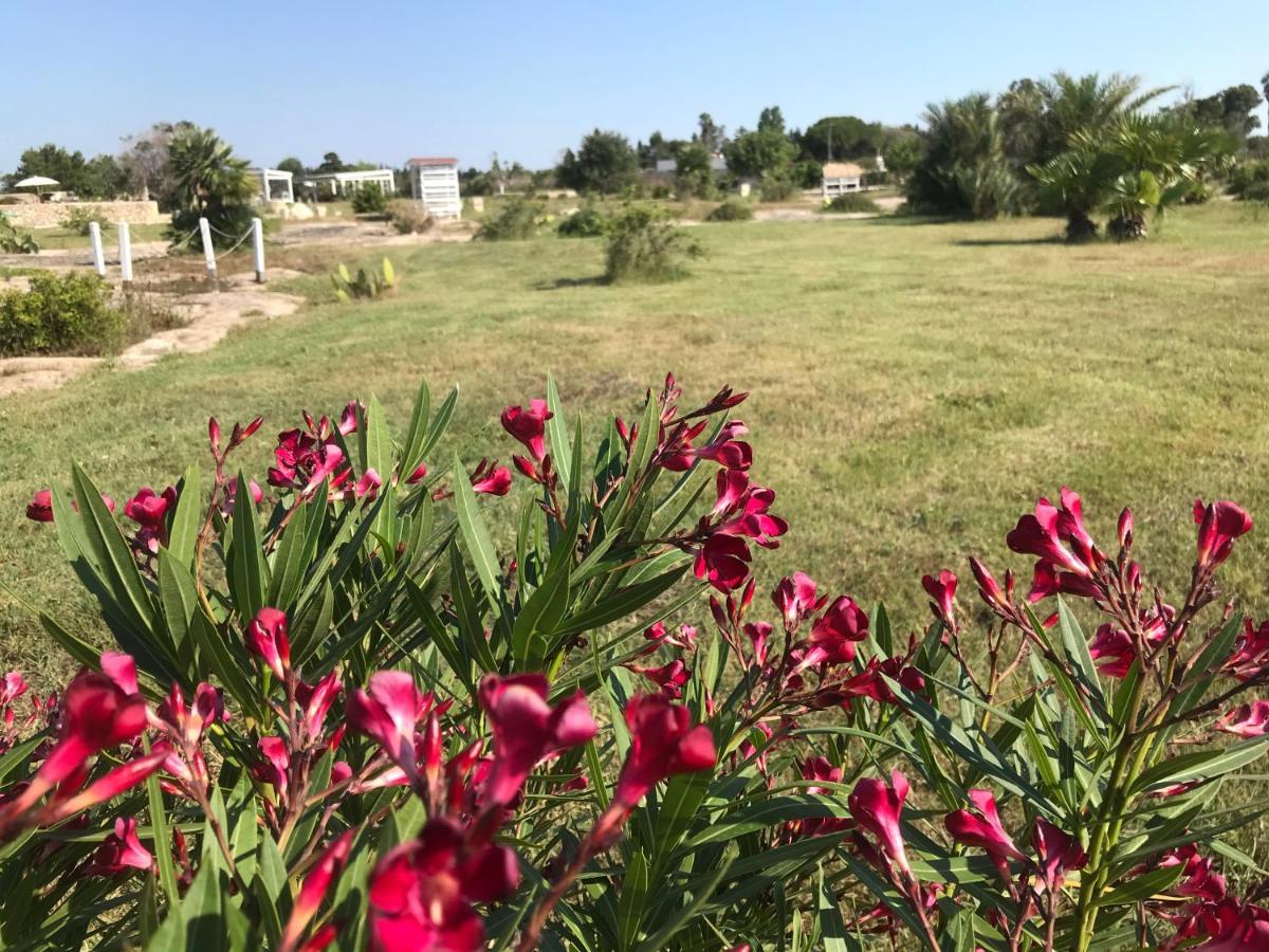 Masseria Gelsi Torre Chianca Bagian luar foto