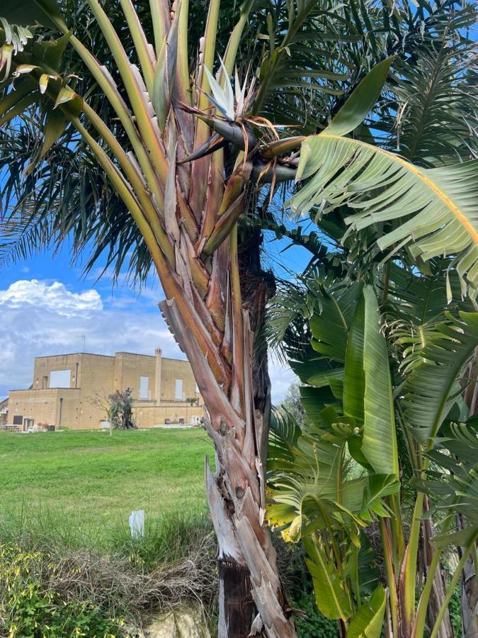 Masseria Gelsi Torre Chianca Bagian luar foto