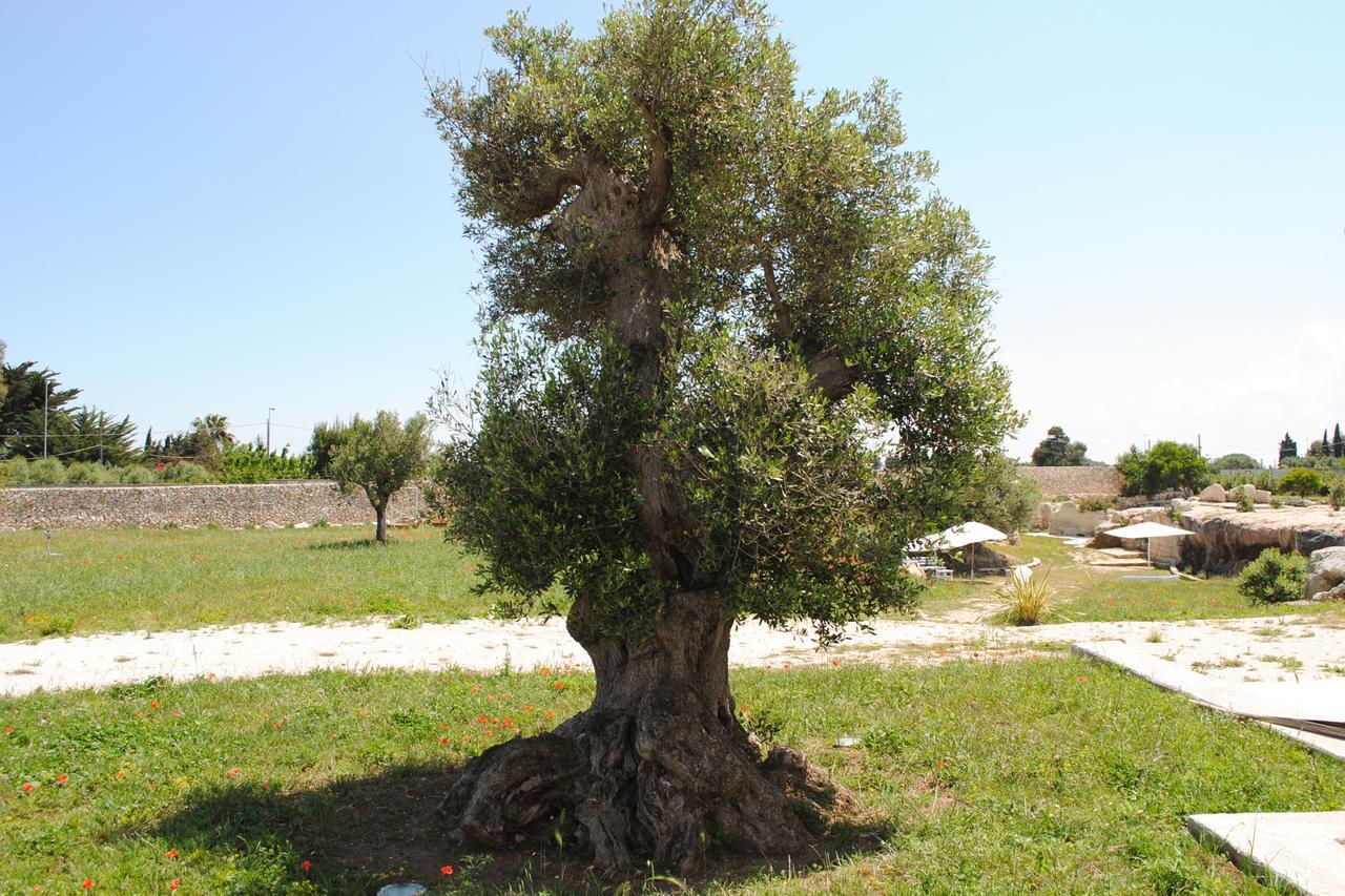 Masseria Gelsi Torre Chianca Bagian luar foto