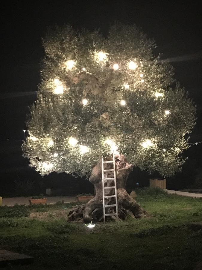 Masseria Gelsi Torre Chianca Bagian luar foto