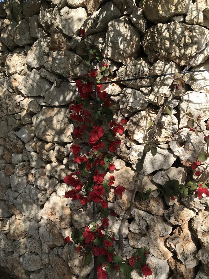 Masseria Gelsi Torre Chianca Bagian luar foto