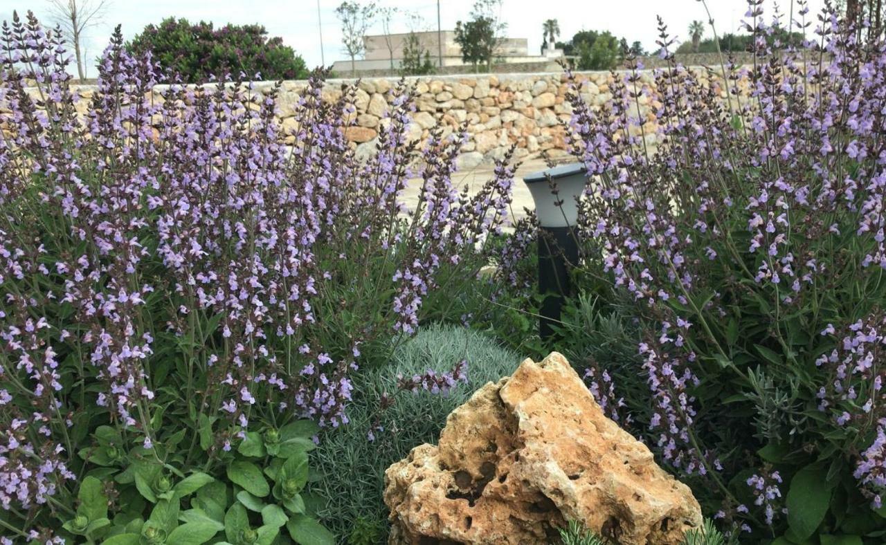 Masseria Gelsi Torre Chianca Bagian luar foto