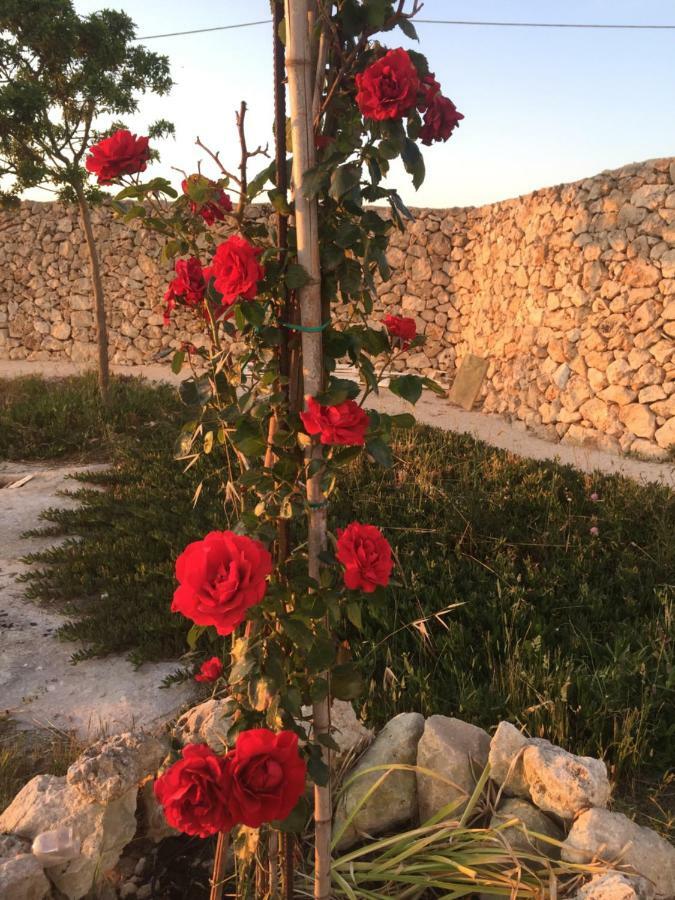 Masseria Gelsi Torre Chianca Bagian luar foto